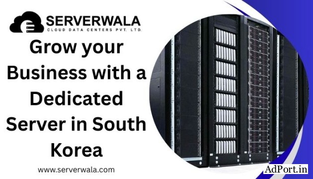 Grow your business with a dedicated server in South Korea