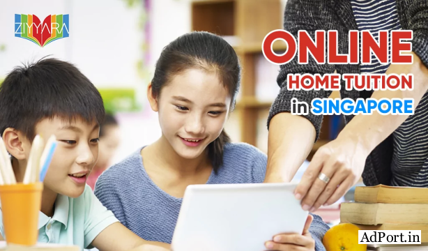 Online Tuition Singapore | Personalized One-on-One Learning with Ziyyara