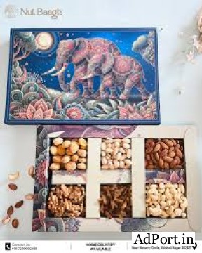 Nut Bhaag Dry Fruit Hub Fresh Exotic & Healthy Delights