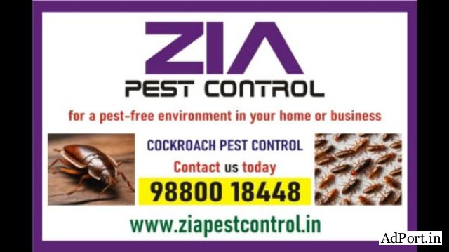 Zia Pest Control | Affordable Pest Control Near You | Call Us Today | 242