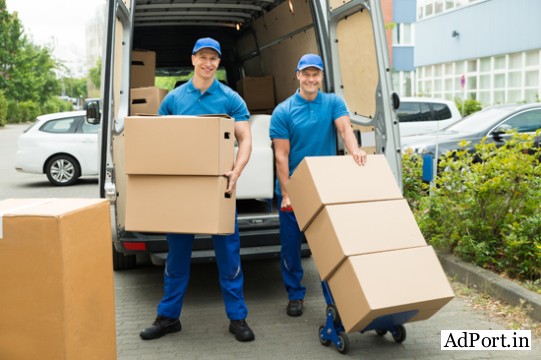 Packing And Moving
