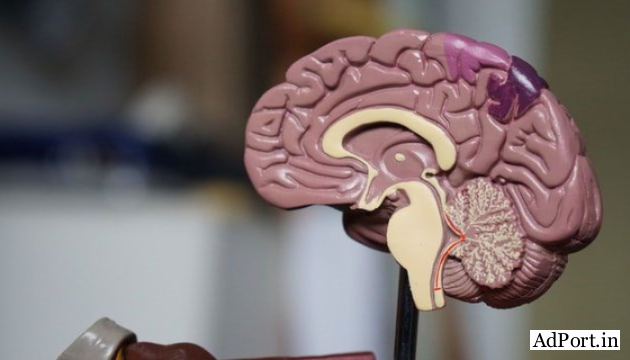 best doctor for epilepsy surgery in Mumbai | Dr Keval Shukla