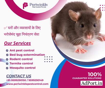 Periwinkle Pest Control: Rodent Control in Greater Noida & Ghaziabad