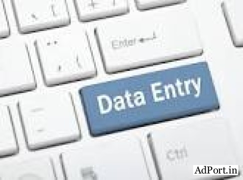 Daily Data Entry Work from Home | Contact Now.