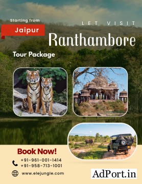 Jaipur Ranthambore Tour Package Covering Forts Palaces