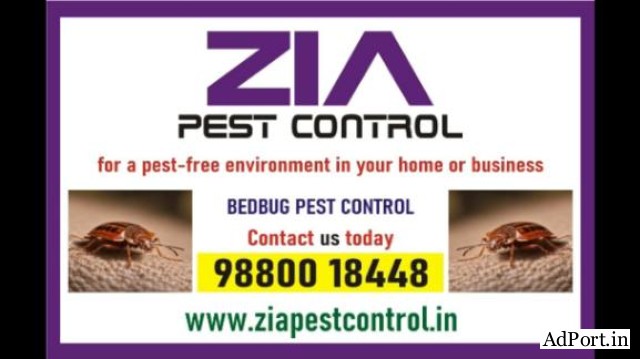 Zia Pest Control | Bed Bugs Control | Off Upto 50% Residence | Call Now | 297