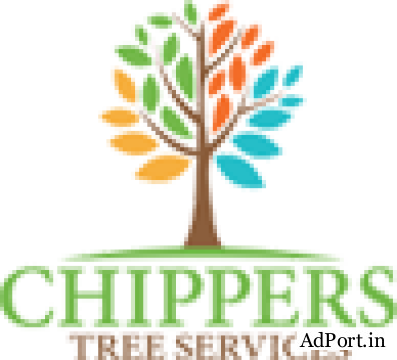 Tree Pruning Services in Dallas Fort Worth