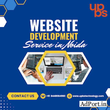 Professional Website Development Services in Noida