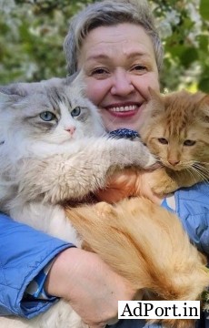 Best Siberian Kitten for Sale!!
