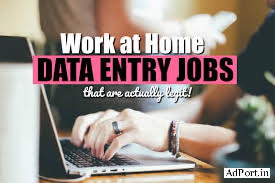 Data Form Filling Project - Bulk & Single-System Data Entry.