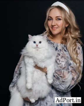  Purchase Best Siberian Cats Online