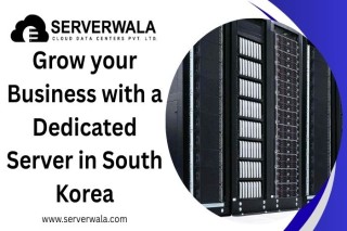 Grow your business with a dedicated server in South Korea