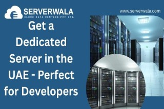 Get a dedicated server in the UAE Perfect for Developers