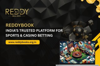 Reddybook Indias Trusted Cricket and Sports Betting ID Provider