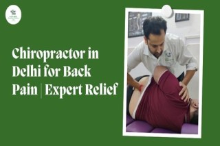 Chiropractor in Delhi for Back Pain | Expert Relief