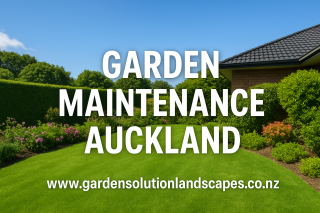 Garden Maintenance Auckland Professional Services