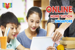 Online Tuition Singapore | Personalized One-on-One Learning with Ziyyara