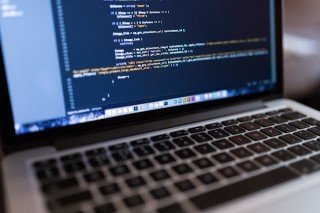 Professional Wordpress Web Development Services