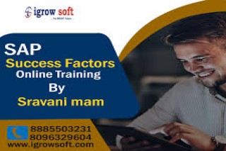  SAP Success Factors training and placement | Igrowsoft