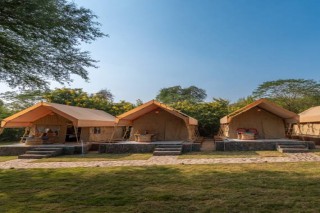 Gurugram Farm Stay - Farm Aravalia