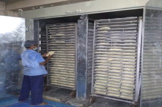 Food Dryers / Food Dehydrators - Smart Solutions for Safe, Premium Food Drying