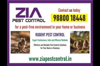 Protect Your Home from Pests|Zia Pest Control|Call Us! Now|203