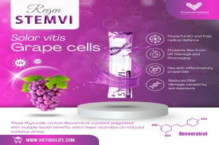 Premium Wellness Supplement Regen Stemvi Buy Online at Victous Life