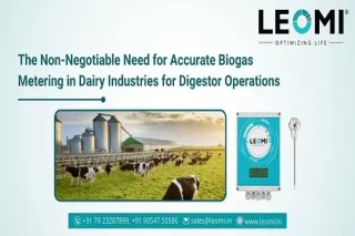Trusted Bio Gas Flow Meter Supplier in India