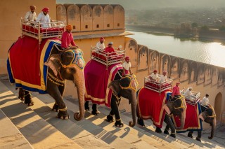 Elephant Ride In Amer Fort Everything You Need to Know Before Visiting