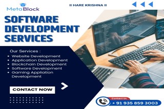 Custom software development near me in jaipur