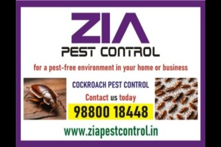 Zia Pest Control | Cockroach Service | Professional Pest Control Service Near By | 278