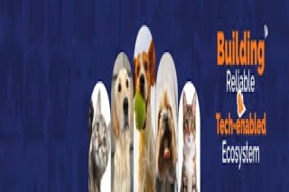 Pet Grooming Near Me in Hyderabad - The PetNest