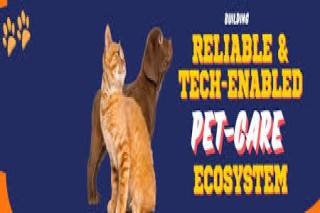 Vet at home with ThePetNest in Delhi 