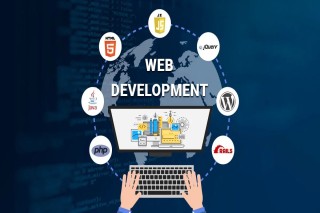 Affordable Website Designing Services in Delhi Call Now