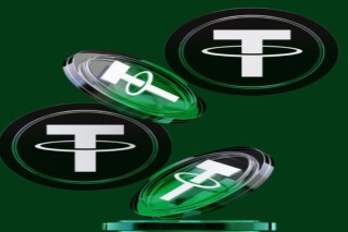 Discover Rapid Flash USDT Now
