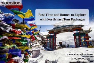 Best Time and Routes to Explore with North East Tour Packages