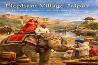 Elephant Village Jaipur A Complete Guide to Royal Elephant Experiences