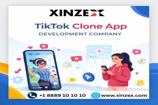 Why Businesses Are Building Short Video Platforms with TikTok Clone App Solutions