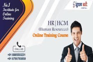 SAP HR HCM online training institutes in Hyderabad |Igrowsoft