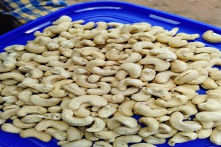 CASHEW NUTS WHOLESALER LATEST PRICE IN JABALPUR SAGAR 