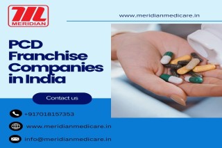PCD Franchise Companies in India