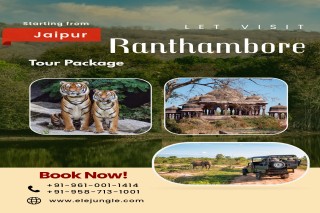 Jaipur Ranthambore Tour Package Covering Forts Palaces