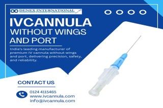 I.V. Cannula without wings and port supplier in India