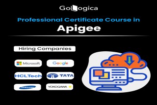 Apigee Training | API Management & Security By GoLogica