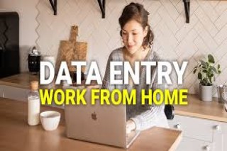 Large-Scale Data Entry Opportunity - Stable Work 7708244092..