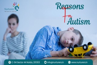 Reasons for Autism: Myths vs Scientific Facts