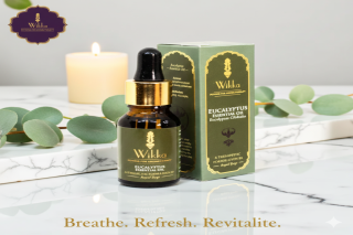 The Natural Power of Eucalyptus Oil for Everyday Wellness and Comfort