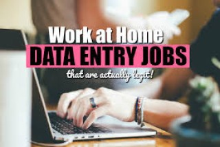 Data Form Filling Project - Bulk & Single-System Data Entry