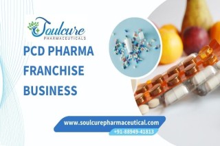 PCD Pharma Franchise Business in India