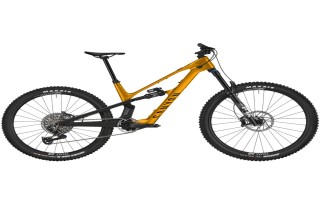 2025 Canyon Spectral:ONfly CF CLLCTV Mountain Bike (INDORACYCLES) 